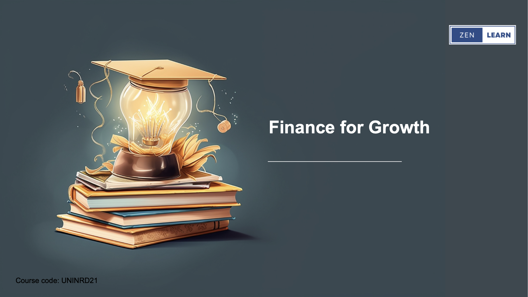 Program 7: Finance for Growth